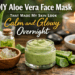 DIY Aloe Vera Face Mask That Made My Skin Look Calm and Glowy Overnight