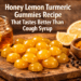 Honey Lemon Turmeric Gummies Recipe That Tastes Better Than Cough Syrup