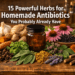15 Powerful Herbs for Homemade Antibiotics You Probably Already Have
